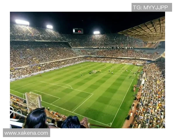 探索足球的身份与文化：从球场到球迷的多维视角